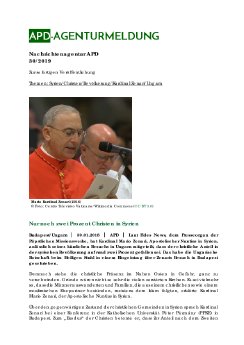 APD_030-2019.pdf