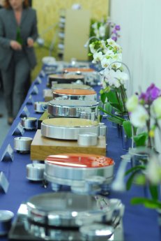 Plattenspieler in Reihe mit Blume.JPG