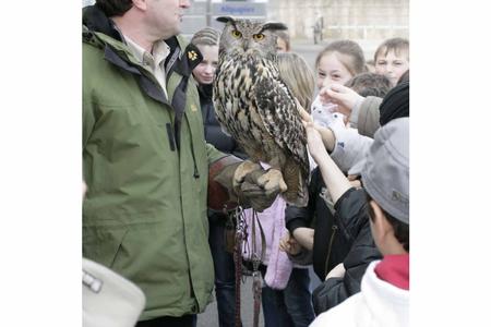 "Erlebnis Umwelt" und Uhu Ben auf Deutschlandtour - am 29.6.08 in Steinhude am Naturpark Infozentrum