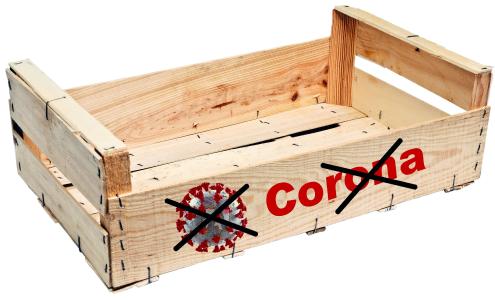 Auf und in Holzsteigen sterben Coronaviren früher ab als auf anderen Stof-fen. (Grafik: GROW)