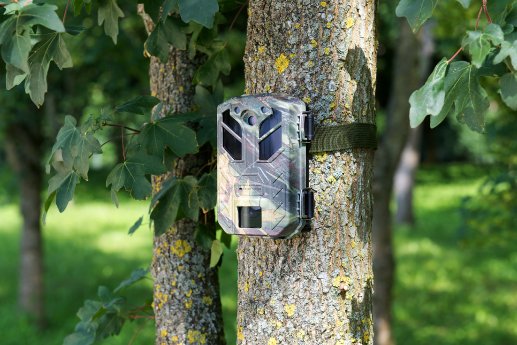 NX-4482_17_VisorTech_Full-HD-Wildkamera_m._Bewegungssensor_WK-585_Nachtsicht.jpg