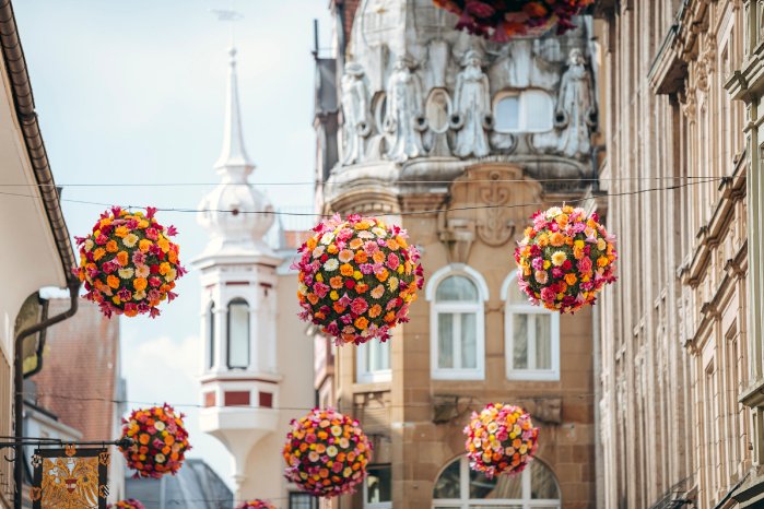 Konstanz-Altstadt-Flowerball-Rosgartenstrasse-03_Copyright_MTK-Leo-Leister.jpg