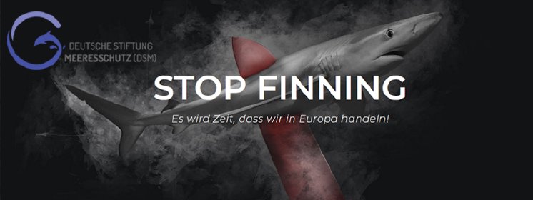 Stop-Finning-800x300.jpg