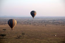 Mit dem Heißluftballon über die Serengeti schweben – für Nicole Kuhn ein unvergessliches Erlebnis