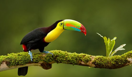 shutterstock_580722556_web.jpg