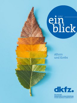 Cover_einblick_2_2017.jpg