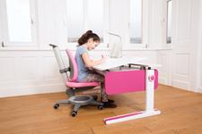 Certified desks should grow with the child and have a tilting function. (Photo: AGR/moll)