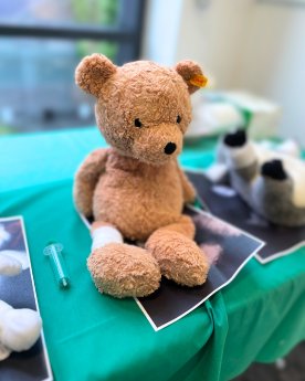 Teddykrankenhaus Klinikum 2.png