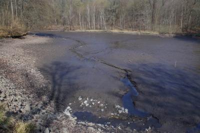 Brunsteich bei der Entnahme von Sedimentproben sowie den abgelassenen Eckteich