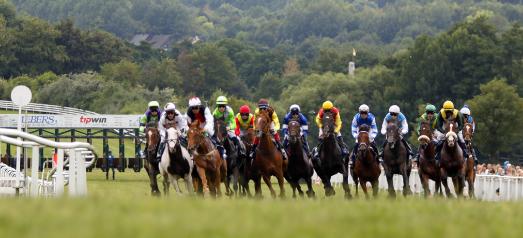 Faszination Galoppsport am Weißen Stein