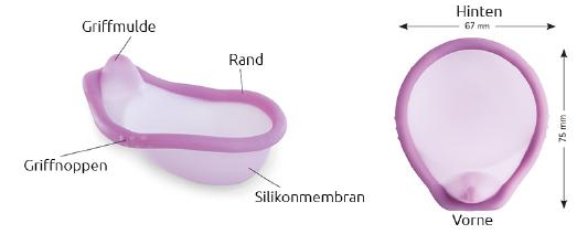Caya Diaphragma Schema