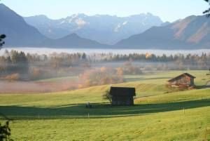 Mooslandschaft im Herbst klein.jpg