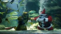 Nikolaus und Rentier tauchen ab im SEA LIFE Oberhausen
