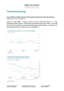2020-08-pm-drk-zinskommentar-august.pdf