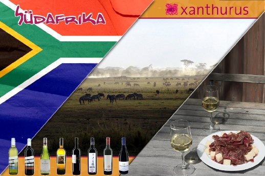 Südafrikanischer Weinsommer.jpg