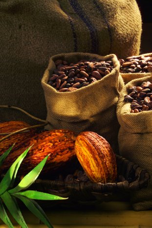 Kakaobohnen-gefüllte-Saecke.jpg