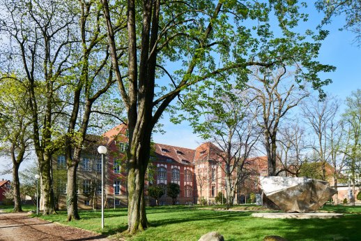 RS11105_2018-04-12_0913-lsc.jpg
