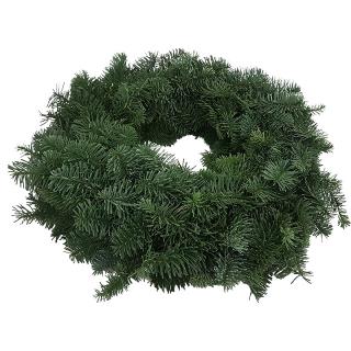Nobilis (2).jpg