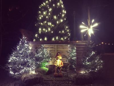 Winter Wunderland Drive In 2