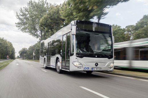 citaro_solobus1_c_daimler_truck.jpg
