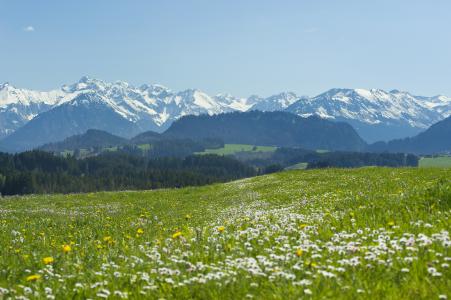 Frühling in den Hörnerdörfern im Allgäu