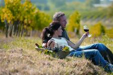 In der Kap-Region kann man köstliche Spitzenweine vor eindrucksvoller Kulisse genießen.