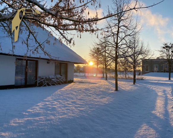 Vorlage Pressemittelung quer (3).png