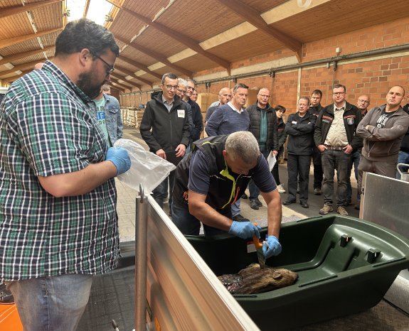 ASP-Übung.jpg