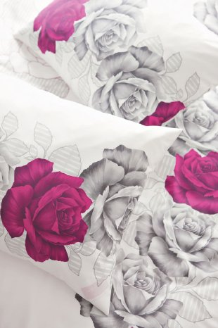 rosenbluete-fuchsia.jpg