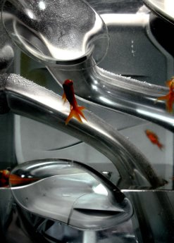 [2] Fish Tank.jpg