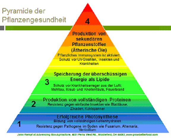 Pyramide der Pflanzengesundheit.png