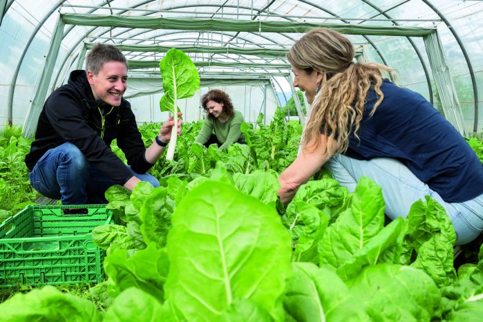 Agriesperienze - Le vie dell'indaco-ticinoate.ch-Photolocatelli.ch.png