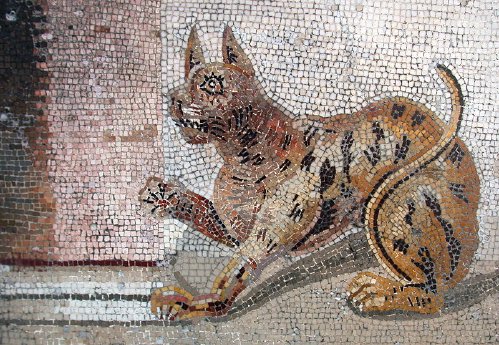 Mosaik Katze, Pompeji.JPG