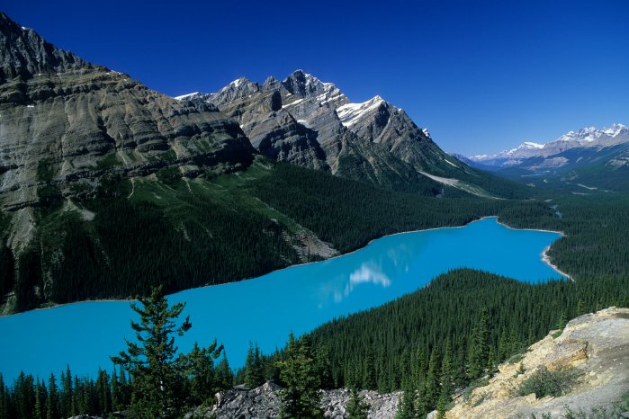 SK-Naturzeit-Peyto_Lake2.jpg