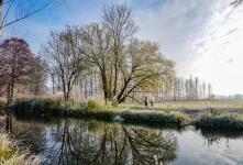 Copyright: Peter Becker