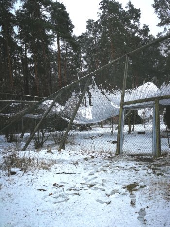 Wildpark-MV_eingestürzte Steinadler-Voliere.jpg