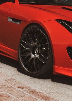 Jaguar Detail.jpg