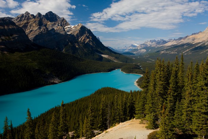 SK-Naturzeit-Peyto_Lake3.jpg