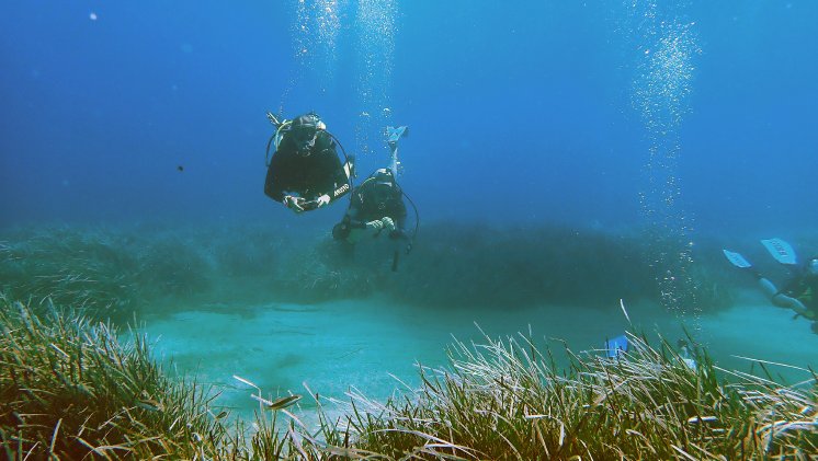 Tauchgruppe von Project Manaia bei den Seegraswiesen vor Stoupa.jpg