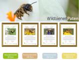 Sinnvolles Schenken - Wildbienenpatenschaft