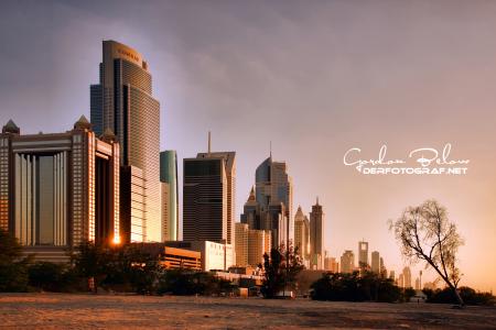 Foto: Gordon Below