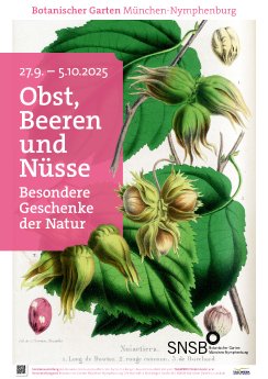 Bild 1 Plakat_Sonderausstellung Erntedank_c_BotMuc_2025.pdf