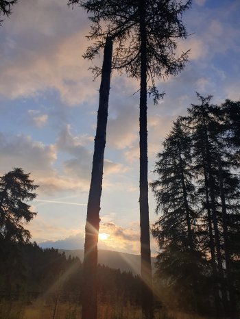2023-07-21_Sonnenaufgangswanderung Möltner Joch (2).jpeg