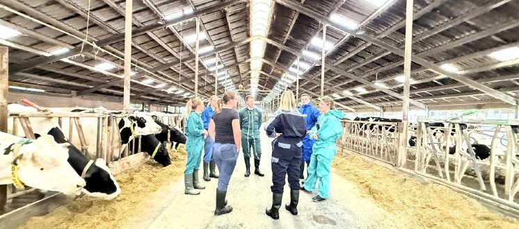 Controlling im Stall.jpg