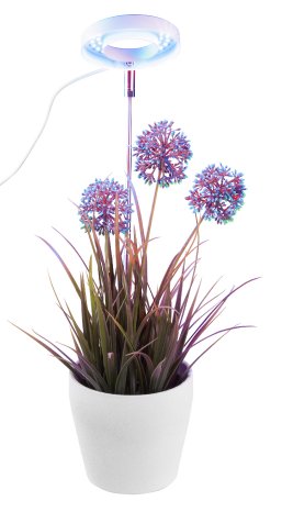 JX-8024_08_Vollspektrum-LED-Pflanzenlampe.jpg