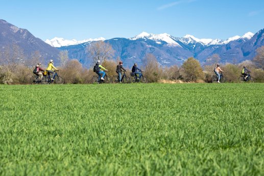 Web Version-Agriesperienze - Terreni alla Maggia-ticinoate.ch-Photolocatelli.ch-1.jpeg