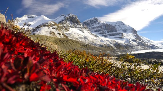 P1080701 Am Athabasca Icefield.JPG