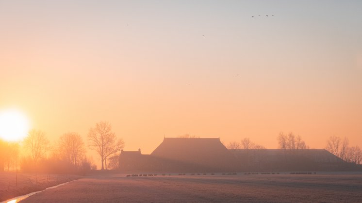 Herbstsonne in Friesland (c)Visit-Friesland.jpg