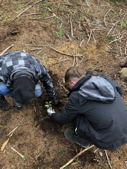 Landenberger For Future_Landenberger pflanzen Leben_Foto-Christian Phiesel (3)_komprimiert.JPG