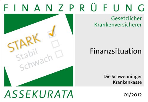 Schwenninger_Finanzprüfung.jpg